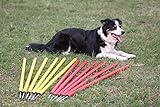 Wuzzmann Agility-ÜBUNGS-Slalom-Set ROT/GELB, 12 RUNDE STANGEN
