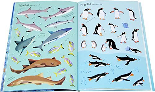 Vida marinha: meu livrinho de adesivos