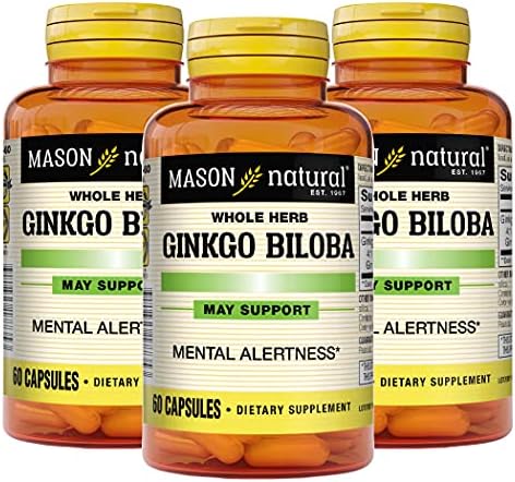 MASON NATURAL Ginkgo Biloba - Improve Mental Alertness, Supports Optimal Brain Function, Herbal Supplement, 60 Capsules (Pack of 3)