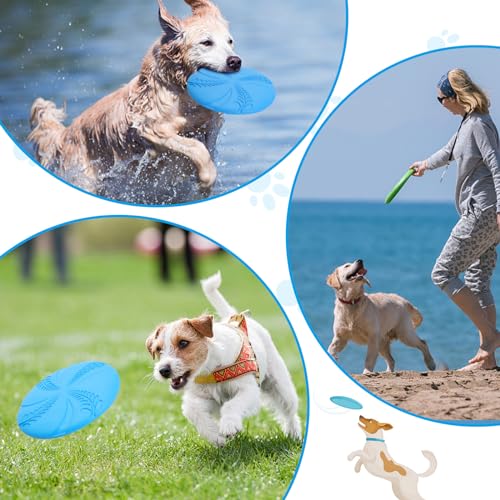 Nobleza Hundefrisbee, 2 Stück 20cm Hundefrisbee aus Natürlichem Kautschuk, Hundespielzeug Frisbee für Land und Wasser (Blau + Grün)