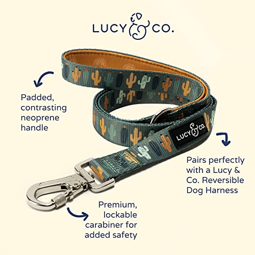 Lucy-Co-5-Foot-Designer-Dog-Leash-Leash-for-Small-Medium-or-Big-Dogs-or-Puppies-Puppy-Leash–Pet-Accessories-Supplies-Looking-Sharp-Large Lucy Co 5 Foot Designer Dog Leash Leash for Small Medium or Big Dogs or Puppies Puppy Leash–Pet Accessories Supplies Looking Sharp Large