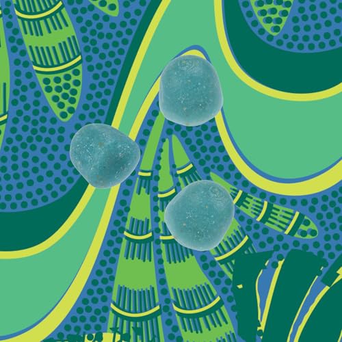 Image of Kuli Kuli Organic Sea Moss & Blue Spirulina Gummies, 60 CT