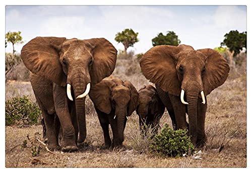 Puzzle 500 Piezas,Puzzle De Madera para Adultos,Familia De Elefantes De La Sabana Africana Puzzle,Juegos para Padres E Hijos Cover