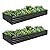 ZUNUDA Galvanized Raised Garden Bed,2 Pcs 10×3×1FT Metal Planting Box for Outdoor Vegetable, Flowers Herb,Planter Gardening (Black)