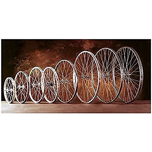 Rueda trasera 650 x 35 B radios aluminio rigide et légère pour cyclotourisme