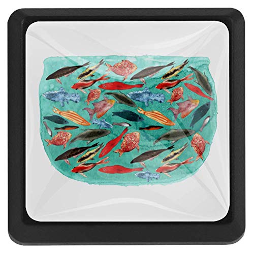 Peceras De Cristal Cuadradas 🥇 - 30% 🥇 2021