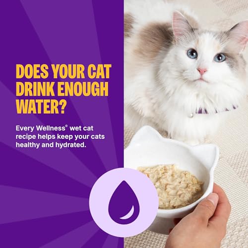 Image of Wellness Appetizing Entrees Flaked, Shredded and Mousse Variety Pack Adult Wet Cat Food, Natural, Protein-Rich, Grain Free, Seafood & Poultry Recipes, 2.8 oz, Pack of 8 Pouches
