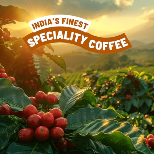 Image of Toffee Coffee Roasters | Baarbara Estate, Light to Medium Roast, 250 g | Grind: French Press, Speciality Blend, 100% Arabica | Speciality Coffee | Freshly Roasted