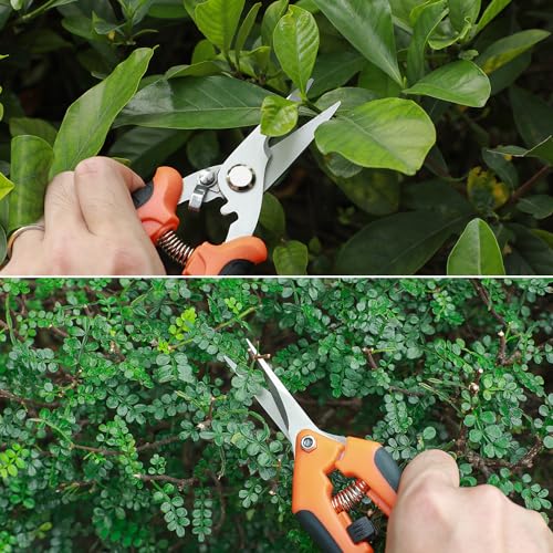 Gartenschere Set, Baumschere Gartenscheren 3 Stück Pflanzenschere Rosenschere Gartenschere Kräuterschere Rebschere Bypass Schere Scharfe aus Edelstahl für Pflanzen
