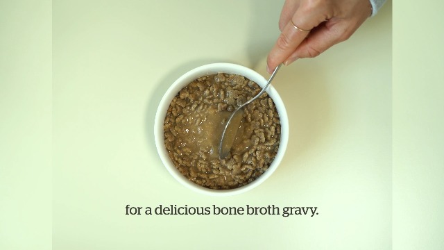 Amazon.com: Now Fresh Good Gravy Small Breed Adult Dry Dog Food