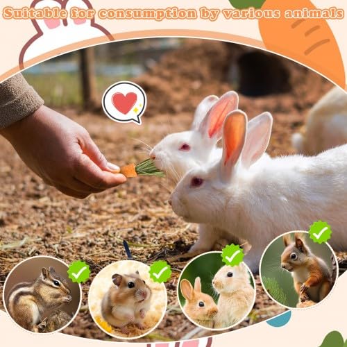 Crocchette da masticare per conigli - Biscotti all'erba alfalfa e carota per piccoli animali domestici - Snack di fieno di fleolo per conigli, porcellini d'India e criceti - Giocattoli da mas