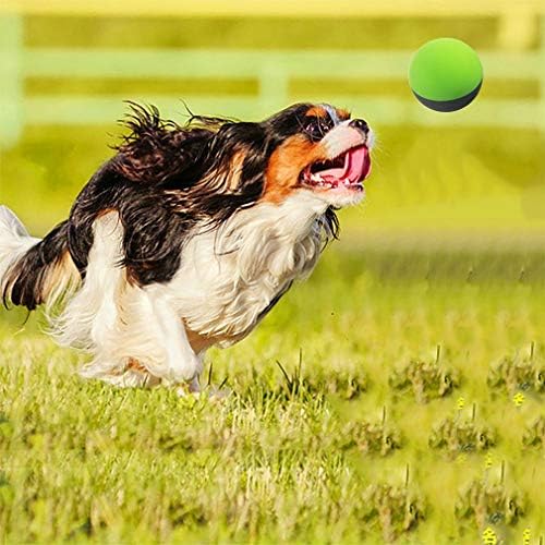 Are Squash Balls Safe For Dogs