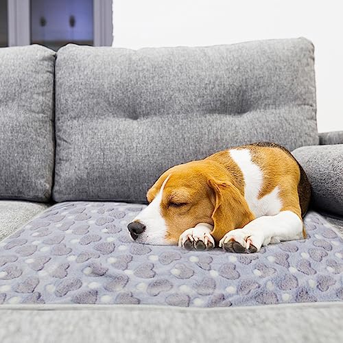 Image of 1 Pack 3 Puppy Blankets Super Soft Warm Sleep Mat Love Print Blanket Fluffy Fleece Pet Blanket Flannel Throw Dog Blankets for Small Dogs Puppy Dogs Fluffy Cats,Mix Love-Medium(29 inchx20 inch)