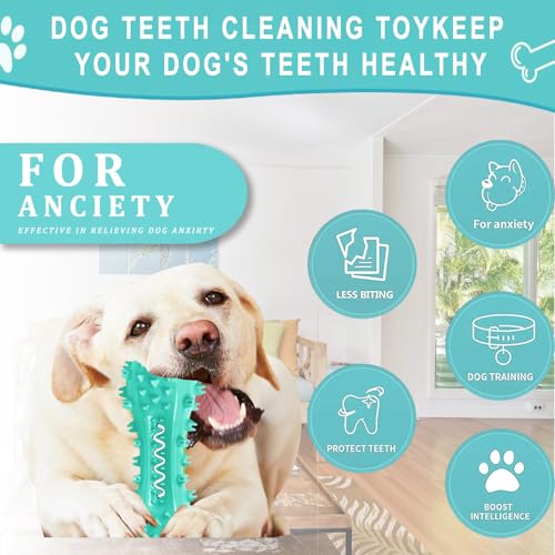 Image of Dog Teeth Cleaning Toy for Training, Playing, Chewing - Squeaky Toys for Aggressive Chewers - Toothbrush Stick Bone for Medium Large Dogs (Blue)