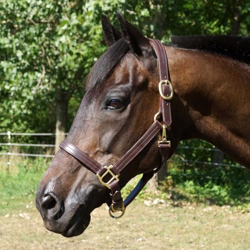 Country Pride Fairfield Triple Stitched Leather Halter (Horse)