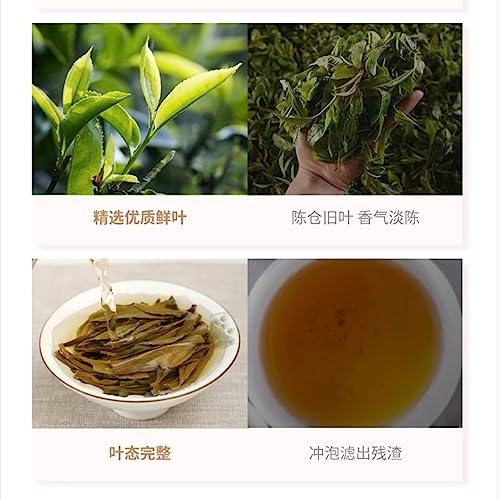 Thé Pu-Erh digestion difficile Zhenwei Hao 2016 solution naturelle après-repas 357g - 7