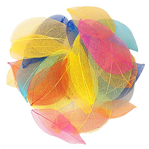 HAOBIN Natural Dry Leaves Dried Leaves Artificial Silk Leaves Decorative Leaves Craft Dry Leaves for Crafts DIY Resin Scrapbook Craft Card Making