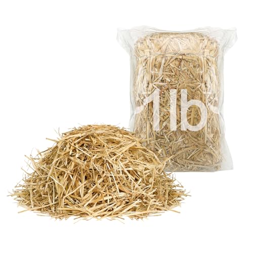 1lb Natural Wheat Straw for Cats Shelter - Soft Warm Clean Decorative Straws Bale for Stray Animal Bedding Farm Garden Mulch Grass Cover