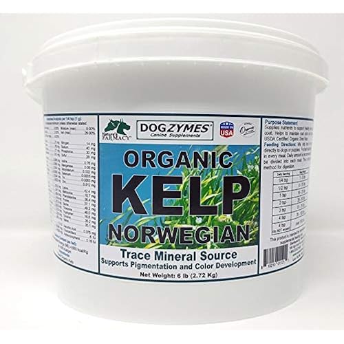 Dogzymes Organic Norwegian Kelp for Pets, a Valuable Nutrition Source Rich in Iodine to Support Gland Function, Especially The Thyroid
