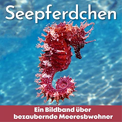 Seepferdchen: Ein Bildband über bezaubernde Meeresbewohner