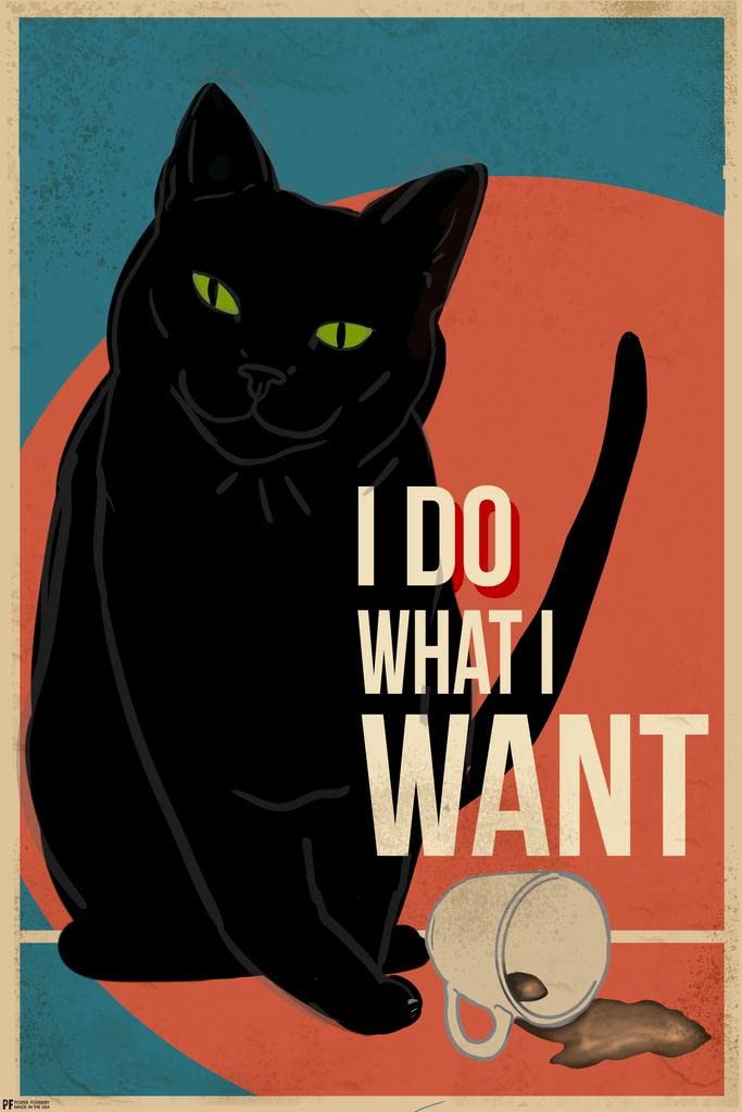 Laminated Black Cat Decor Do What I Want Weird Bathroom Home Vintage Blue Poster Dry Erase Wall Art 12x18