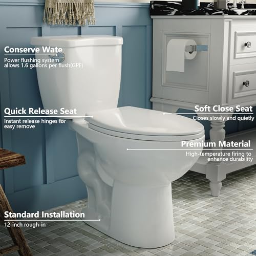 DeerValley-Two-Piece-Elongated-Toilet-ADA-179-High-Toilet-for-Bathrooms-1000g-Map-High-Efficiency-12-Rough-In DeerValley Two Piece Elongated Toilet ADA 179 High Toilet for Bathrooms 1000g Map High Efficiency 12 Rough In