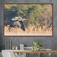 Framed Canvas Wall Art Soaring Bird Aerial Beach Birds Cool Multicolor Photography Realism Relax/Calm Single - 16x24 inches