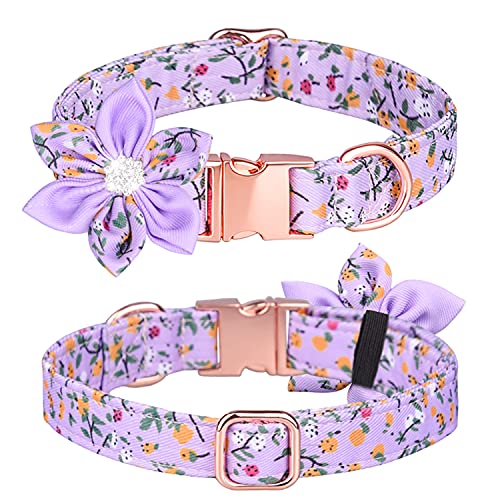 haoyueer Collare per cani, con strass e fiori per ragazze, collare per cuccioli con motivo floreale, collare per cani con strass staccabili, per cani femminili, taglia S, M, L (S, viola)