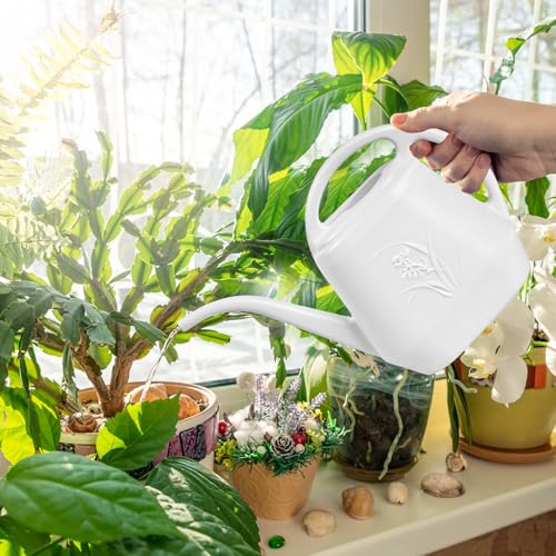 Image of Plastic Watering Can - for Indoor and Outdoor Plant - 1 /2 Gallon - White