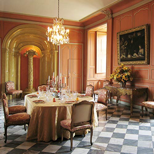 Xtricity 40W B11 Incandescent Clear Chandelier Light Bulb, Torpedo Tip, E26 Medium Base, 360 Lumens, Dimmable, 120V, (6 Pack) #TOP3