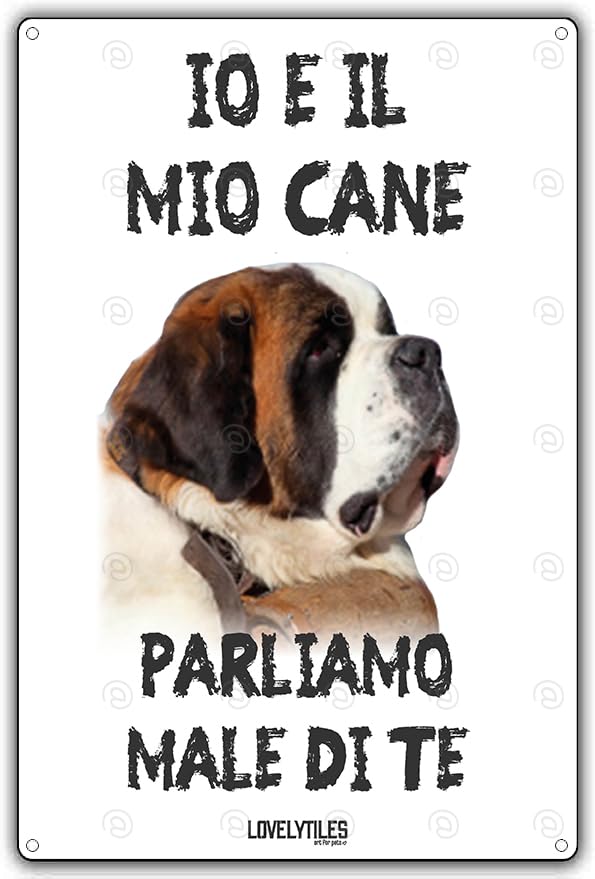 Targa Metallo Per Cani Lagotto - 'Attenti Al Padrone Qui L'unico Normale Sono Io!', 15x20cm, Personalizzabile - Foto 2