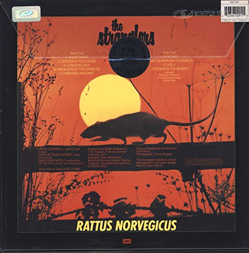 Image of Stranglers IV