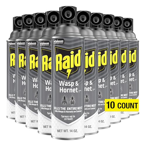 Raid Wasp and Hornet Killer (Pack - 10)