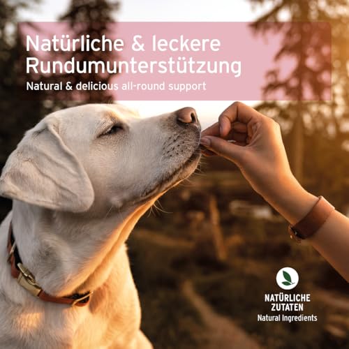 AniForte 4in1 Snack für Hunde 300g - Natürliche Rundumversorgung für Gelenke, Immunsystem, Verdauung, Fell & Haut, Magen & Darm, getreidefrei, bewährt mit Grünlippmuschelpulver, Inulin, Hagebutte