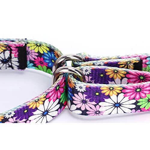 haoyueer Heavy Duty Nylon Adjustable Martingale Dog Collar for Walking Training Boy and Girl Dogs (XL:53-62CM, Blue) - Image 4