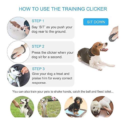 Sage Square Dog Training Clicker with Wrist Strap - Pet Training Clicker, Big Button Clicker Set, Pack of 2 (Color May Vary) 4
