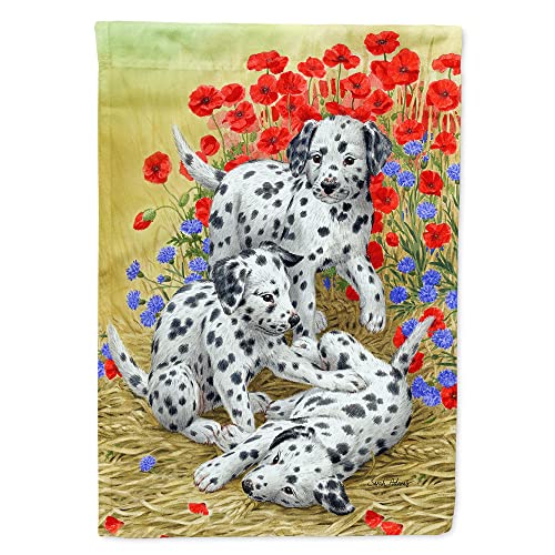 Drapeau Dalmatien Pups grand format pavillon de maison multicolor ASA2071CHF