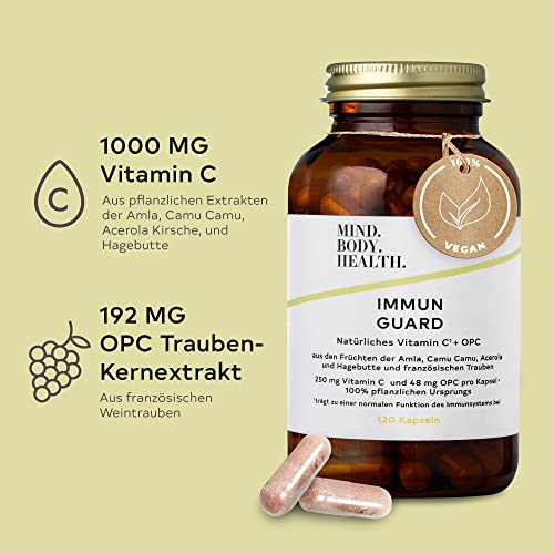 Vitamine hochdosiert für das Immunsystem – Immun Guard