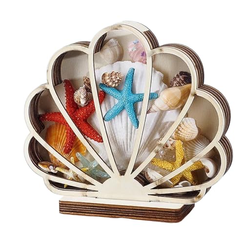 Soporte de conchas genérico | Caja de colección vitrina para diente de tiburón Estrella de mar – Decoración litoral para conservación de recuerdos, conchas, joyas de dientes de tiburón y