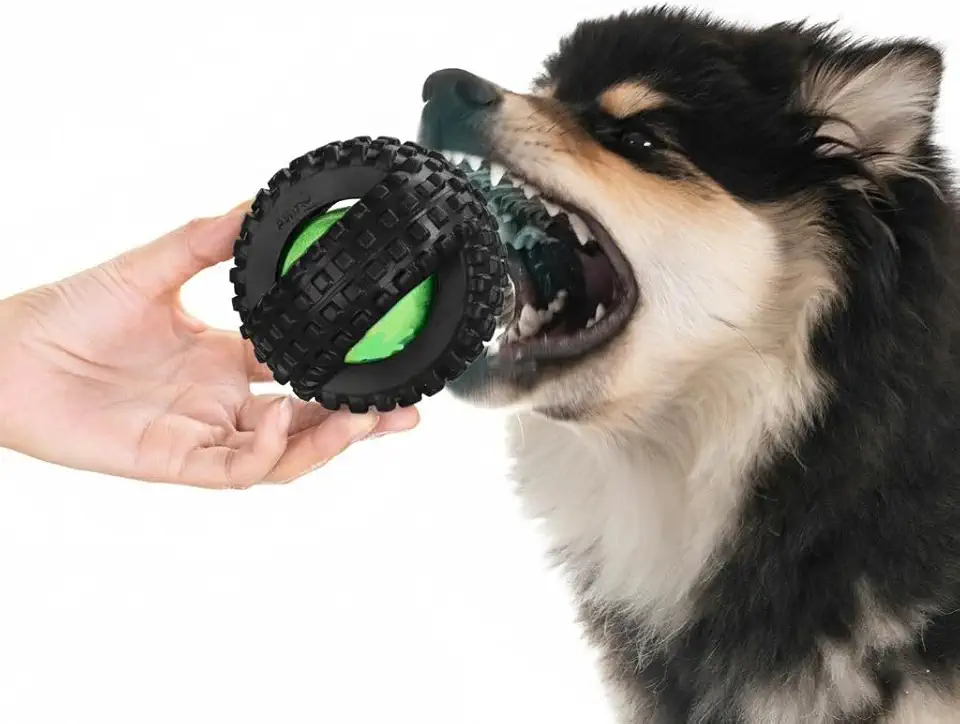 Bola Grande Pneu PVC Com Apito Brinquedo Pet Para Cachorro Cães Muito Reforçado! !