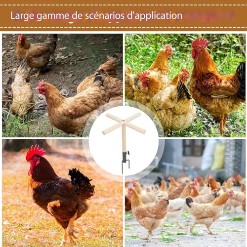 Jouet de divertissement pour perroquets et perchoir de poulet stable