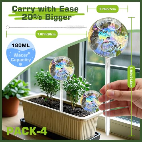 Self watering globes  - image 4