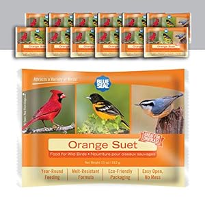 Blue Seal Orange Suet Cakes for Wild Birds – No Mess Suet Feed, Food for Woodpeckers, Cardinals, Siskins, Sparrows & More – 11oz Bird Seed Cakes (Pack of 12)