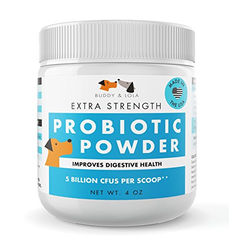 Buddy & Lola Probiotic Powder For Dogs - 4oz - 90 Servings Per Tub