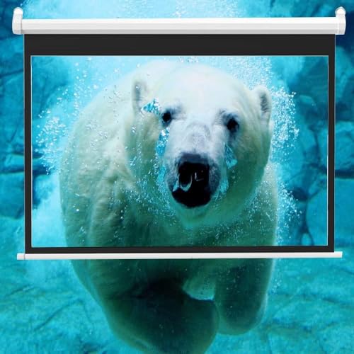 Pantalla manual de proyección HD de 60 pulgadas