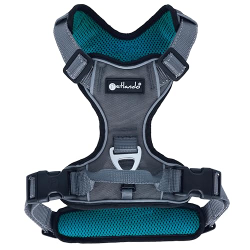 Petlando Hundegeschirr Outdoor – stark reflektierend, gepolstert, atmungsaktiv, robust, stufenlos verstellbar, Zwei D-Ringe – Petrol, M (Halsumfang 42-54cm, Brustumfang 56-68cm)