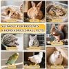 Sukh Natural Botanical Rabbit Treats - 5.64Oz Guinea Pig Treats Healthy Natural Mixed Freeze Dried Vegetable,Flowers & Fruit Hamster Treat for Bunny,Guinea Pig,Hamster,Chinchilla,Gerbil 160g