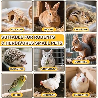Sukh Natural Botanical Rabbit Treats - 5.64Oz Guinea Pig Treats Healthy Natural Mixed Freeze Dried Vegetable,Flowers & Fruit Hamster Treat for Bunny,Guinea Pig,Hamster,Chinchilla,Gerbil 160g