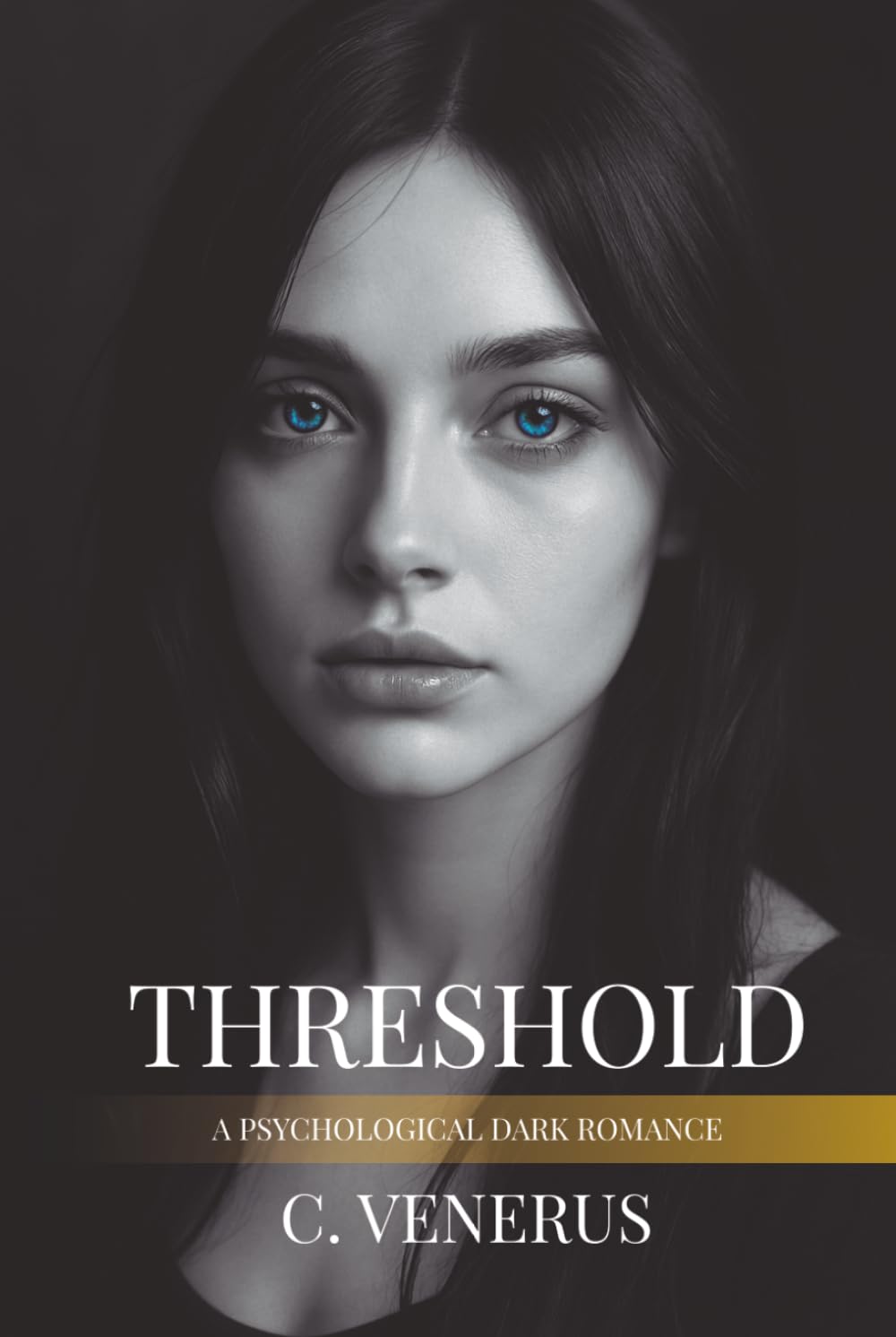 Threshold: A psychological dark romance