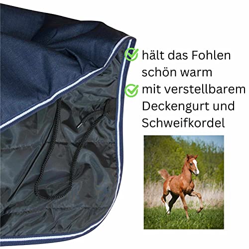 AMKA Fohlendecke Outdoordecke LULEA 200 g 600 Denier verstellbar